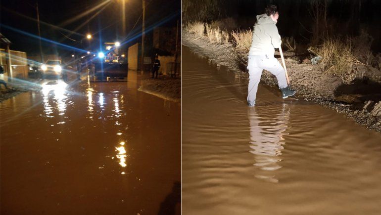 Cayeron de 15 a 20 mm en Plottier: al pie de la barda fue lo más afectado