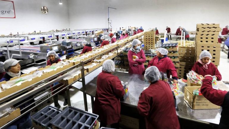 Planta de empaque y comercialización de cerezas. Planta de empaque y comercialización de cerezas.