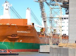 El mercado de China se abre a las exportaciones de trigo de Argentina. El mercado de China se abre a las exportaciones de trigo de Argentina.