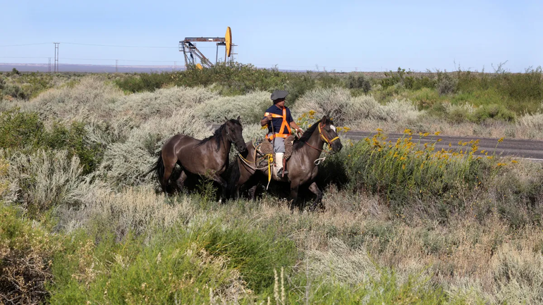 La actividad petrolera es la principal de Neuquén y la región. Pero la agronomía sobrevive pese a todo. (Foto: Julio Giménez)