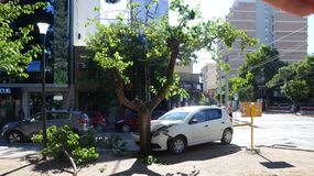 Una camioneta chocó a un auto que terminó contra un árbol. | LM Neuquen Una camioneta chocó a un auto que terminó contra un árbol.