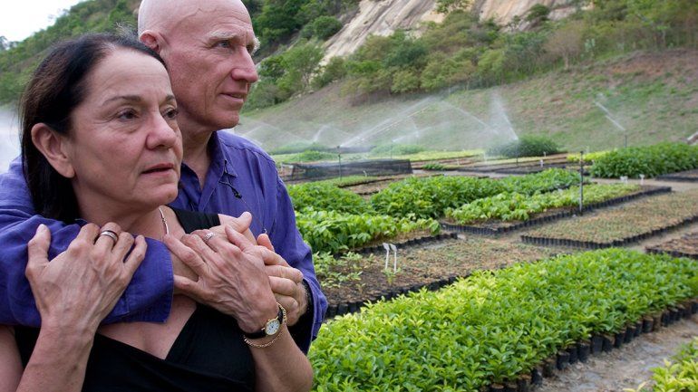 Una pareja plantó árboles y el bosque volvió a asomar