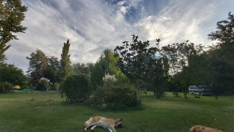 La cuarentena de Marité Berbel: la paz de la chacra, cocina y música