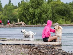 neuquen habilita sectores pet friendly en todos los balnearios: habra controles y multas por incumplimientos neuquen habilita sectores pet friendly en todos los balnearios: habra controles y multas por incumplimientos