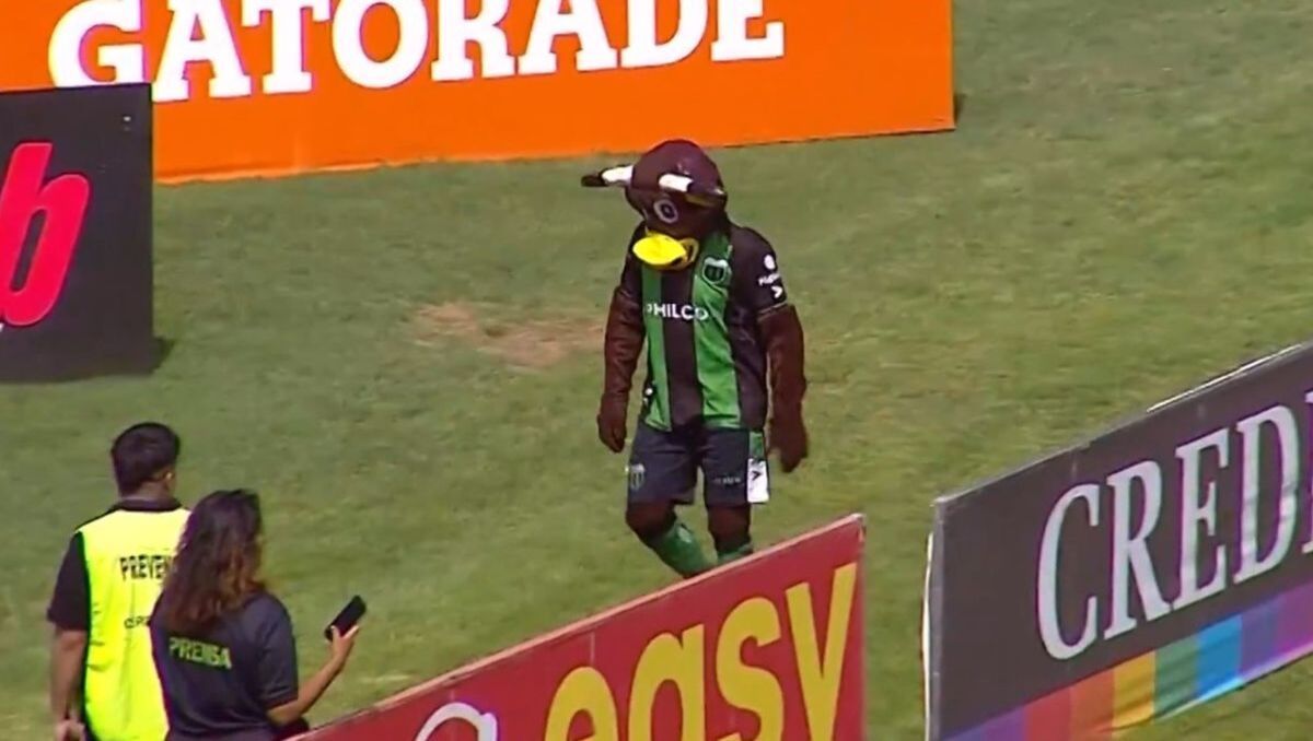 Insólito: el árbitro echó a la mascota de Chicago en pleno partido