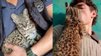 mostraba en las redes su mascota y en un allanamiento se lo quitaron mostraba en las redes su mascota y en un allanamiento se lo quitaron