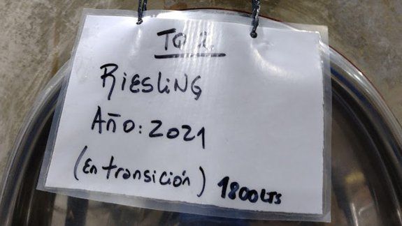 Día del Riesling: de qué se trata esta variedad de nombre difícil