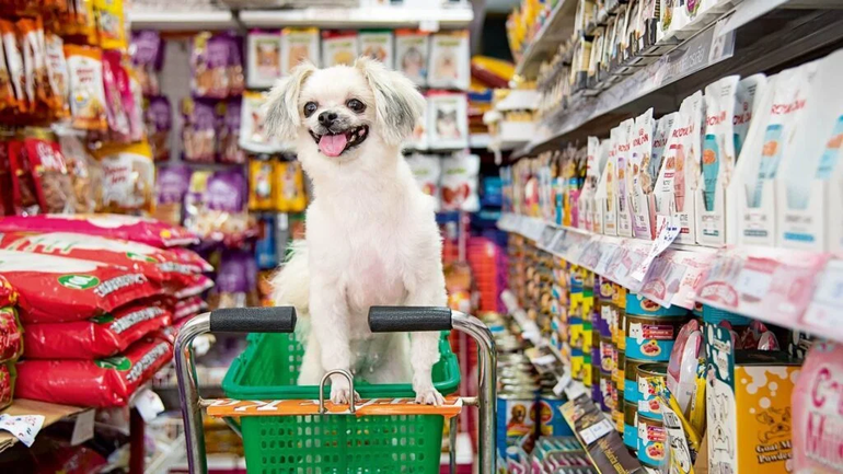 Día del Animal: ¿La gente prefiere tener ahora mascotas en lugar de hijos?