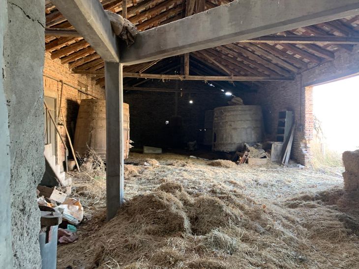 Vecinos celebran: el antiguo boliche de Guerrico (Allen) renace como bodegón con parrillada y pastas. Foto: gentileza Vecinos celebran: el antiguo boliche de Guerrico (Allen) renace como bodegón con parrillada y pastas. Foto: gentileza