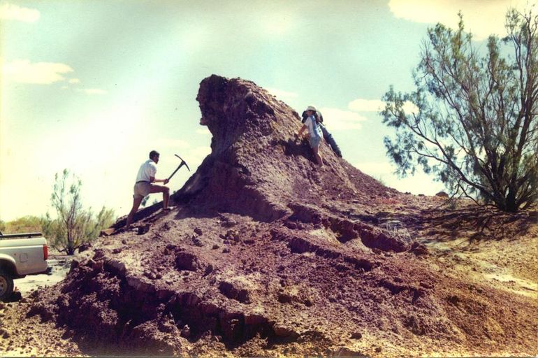 El cerrito aislado que encontraron los investigadores donde se descubrieron las primeras evidencias de lo que ser&iacute;a el saur&oacute;podo gigante. Debajo de la camioneta (a la izquierda, recortada en la imagen) estaba el Futalognkosaurus.