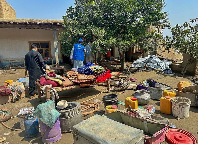 Equipos de la ONU en Afganistán están brindando asistencia de emergencia y apoyo vital a los damnificados por el terremoto. Equipos de la ONU en Afganistán están brindando asistencia de emergencia y apoyo vital a los damnificados por el terremoto.