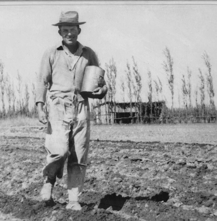 Vittorio G. Lamperti en la chacra de D’Amico plantando tomates.