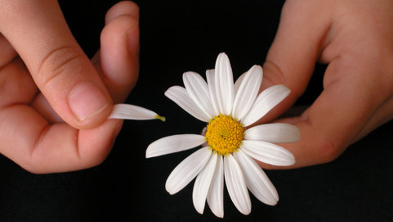 Se va agosto, con el MPN y Figueroa deshojando margaritas