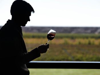 El 17 de abril es el Día Internacional del Malbec.