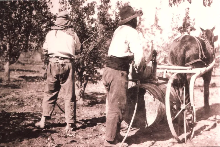 Productores realizando una aplicación de agroquímicos en su plantación frutícola, con una maquinaria tracción a sangre, en la primavera de 1922. (Gentileza: Libro de los 100 años de Cinco Saltos). Productores realizando una aplicación de agroquímicos en su plantación frutícola, con una maquinaria tracción a sangre, en la primavera de 1922. (Gentileza: Libro de los 100 años de Cinco Saltos).