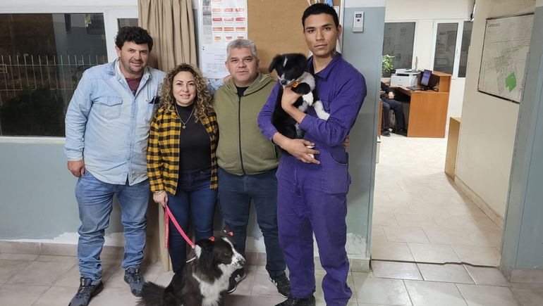 Athos será el primer perro de rescate de Centenario. Athos será el primer perro de rescate de Centenario.