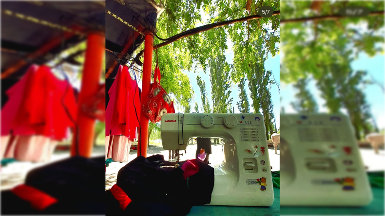 La máquina de coser H-One 2008 que se llevaron del auto.&nbsp;