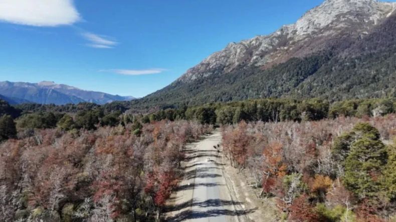Avanzan los trabajos de asfalto sobre la Ruta Provincial 65 hacia Villa Traful | LM Neuquen Avanzan los trabajos de asfalto sobre la Ruta Provincial 65 hacia Villa Traful