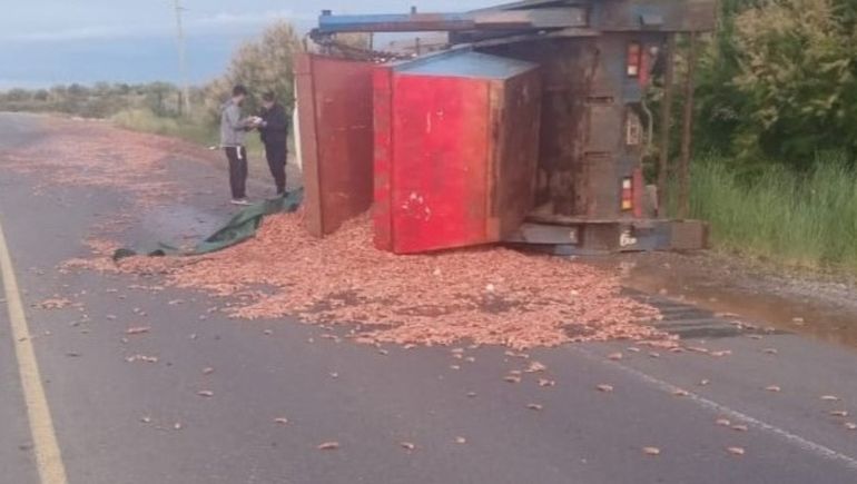Por el vuelco del camión, cerca de las 6 de la mañana de este jueves, la ruta 7 estuvo cortada cerca de Rawson. Por el vuelco del camión, cerca de las 6 de la mañana de este jueves, la ruta 7 estuvo cortada cerca de Rawson. 