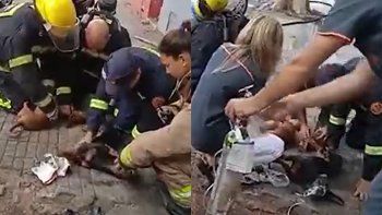 El video que emocionó a las redes: bomberos salvaron a tres perros de un incendio y les practicaron RCP