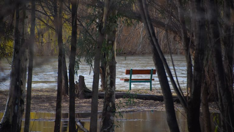 Temporal en Neuquén: el último anuncio sobre la crecida del río