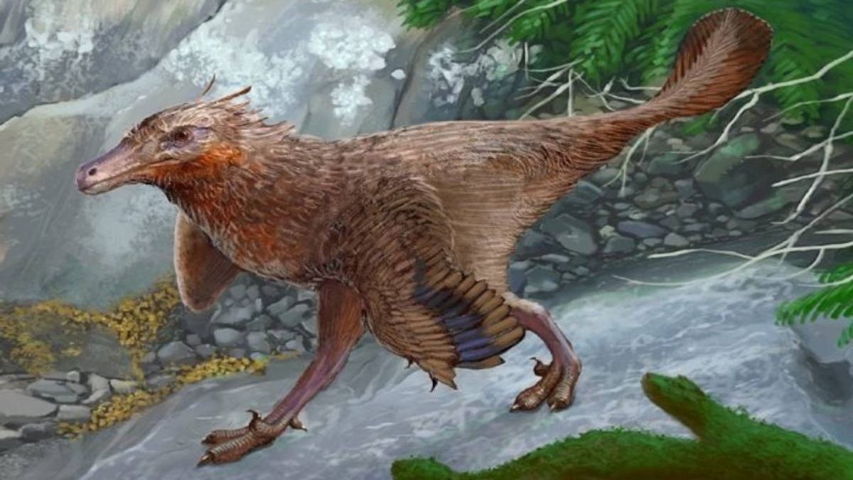 el dinosaurio hallado en Neuquén que es clave para entender el origen de las aves thumbnail