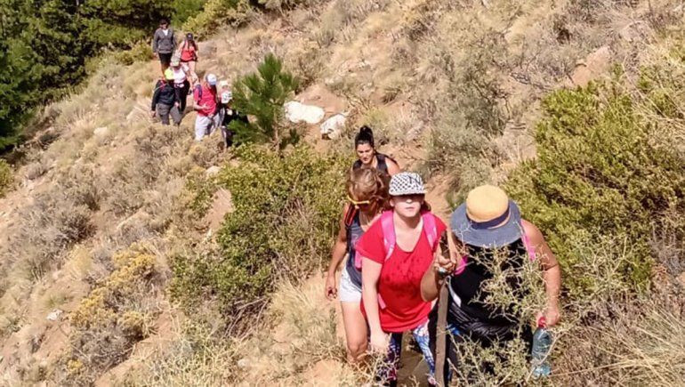 Caminata al famoso Pino Guacho en Huinganco
