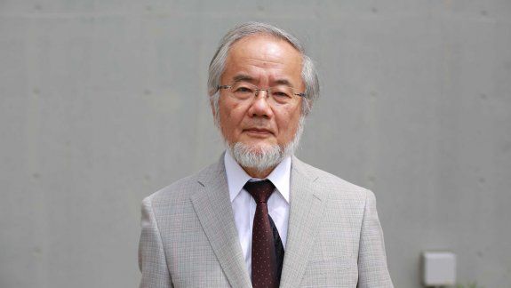 Nobel de Medicina para un japonés por investigaciones sobre células