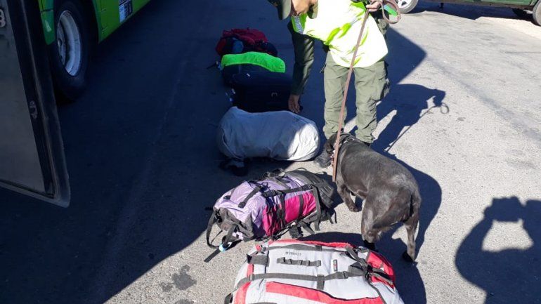 Joven detenido con dosis de LSD y de marihuana