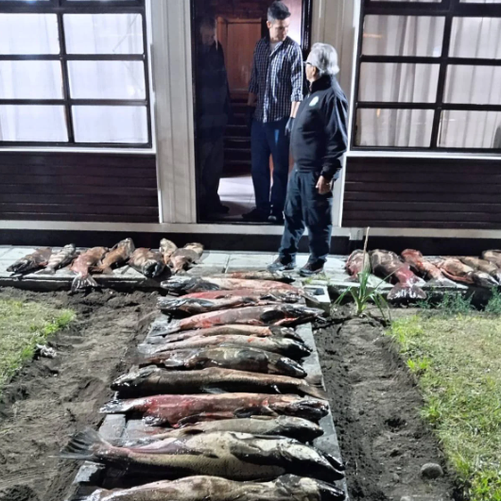 Pesca ilegal en la mira: hace unos d&iacute;as secuestraron ejemplares de salm&oacute;n en una reserva provincial.&nbsp; Foto: La opini&oacute;n austral