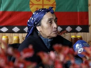 rosalia, la primera mujer lonco de una comunidad del profundo neuquen