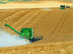 Luis Caputo lidera la transformación digital en el Ministerio de Economía, facilitando exportaciones agroindustriales con un clic. Luis Caputo lidera la transformación digital en el Ministerio de Economía, facilitando exportaciones agroindustriales con un clic.