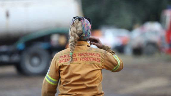Los brigadistas trabajan durante horas para combatir el incendio / Foto