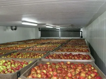 Los elevados volúmenes almacenados de manzana y pera en la Unión Europea generan preocupación entre los exportadores del hemisferio sur.