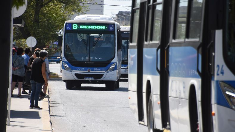Transporte público en Argentina: por qué Neuquén crece mientras el AMBA retrocede | LM Neuquen Transporte público en Argentina: por qué Neuquén crece mientras el AMBA retrocede
