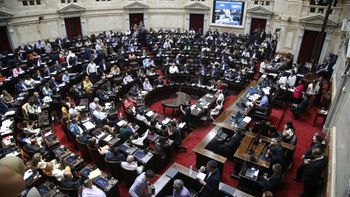 ley bases: la explicacion de los diputados neuquinos antes de su voto ley bases: la explicacion de los diputados neuquinos antes de su voto
