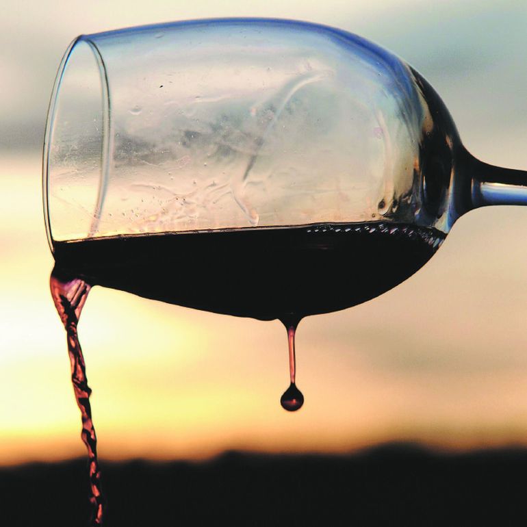 Diez malbec deliciosos para darse un gusto de hasta $999