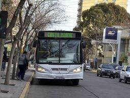 Cipolletti aún no adjudicó el nuevo servicio de Transporte Público.