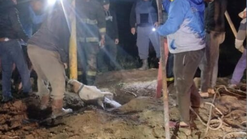 Impresionante rescate nocturno de un caballo caído en un pozo de dos metros | LM Neuquen Impresionante rescate nocturno de un caballo caído en un pozo de dos metros