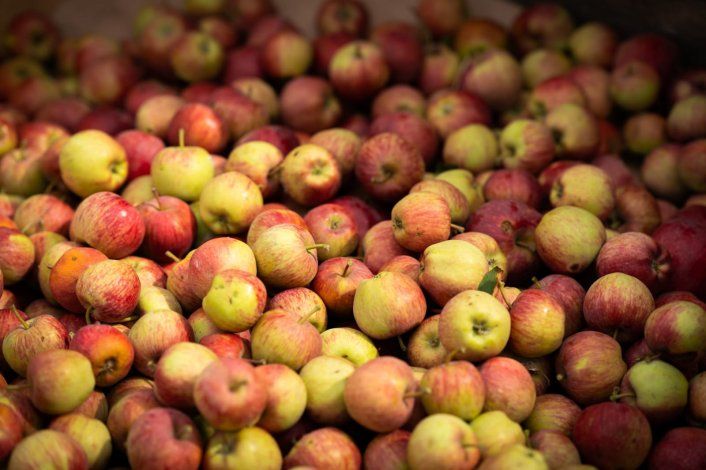 Caen sensiblemente las ventas de manzana al mercado interno