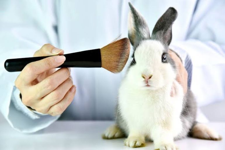 Una diputada neuquina quiere ponerle fin a las pruebas de cosméticos en animales.