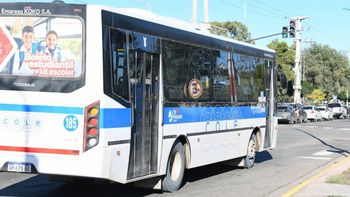 cambios en cole: mas frecuencias y las lineas modificadas por la obra en avenida mosconi cambios en cole: mas frecuencias y las lineas modificadas por la obra en avenida mosconi