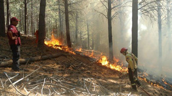 Controlaron un incendio intencional en el bosque de Corfone