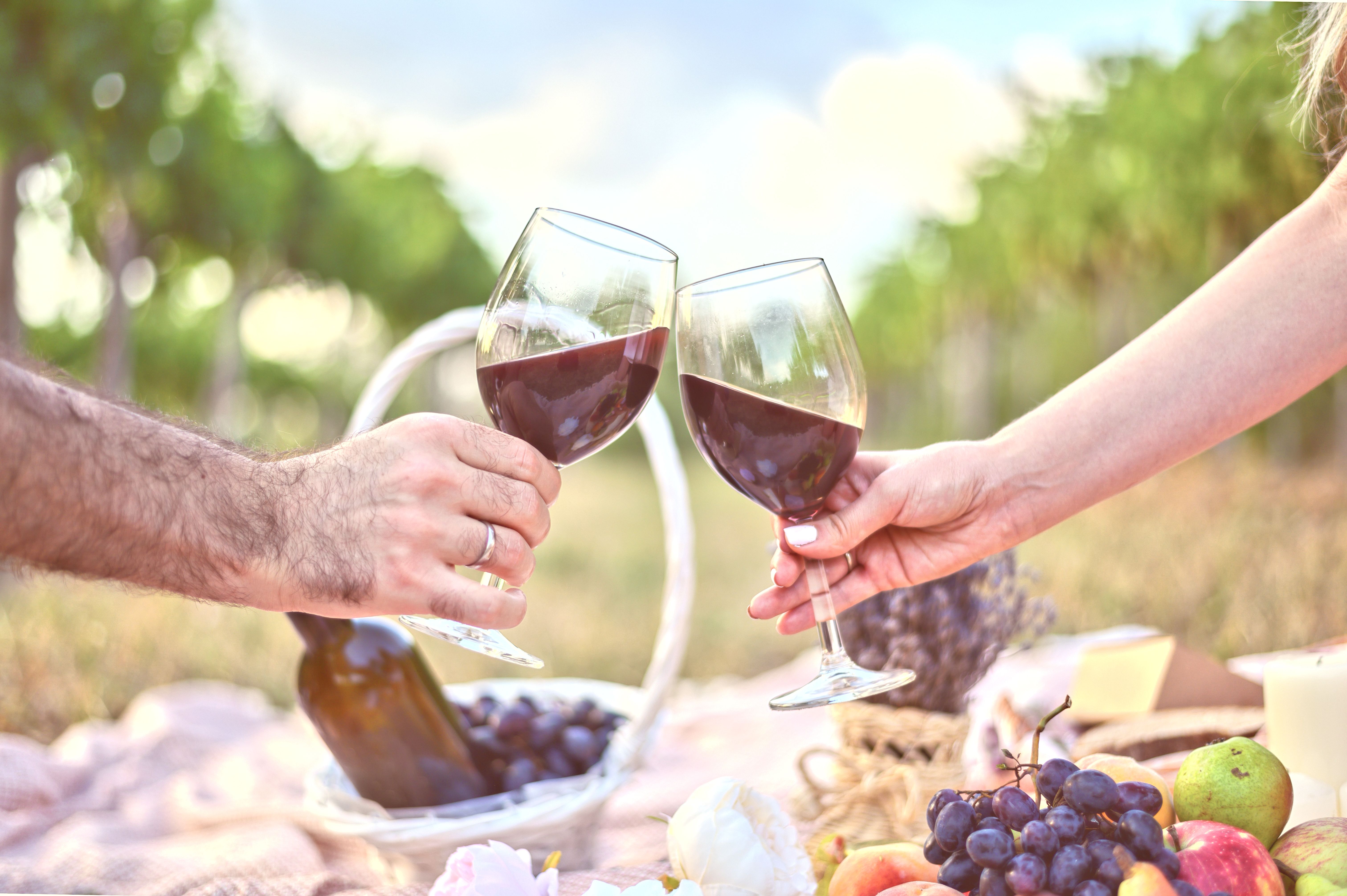 Se viene “Sustenta Vitis”, el primer foro de sostenibilidad del vino argentino.