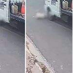 Despiadado: atropelló a un perro, lo miró como sufría para salir de abajo de las ruedas y luego lo abandonó | LM Neuquen Despiadado: atropelló a un perro, lo miró como sufría para salir de abajo de las ruedas y luego lo abandonó