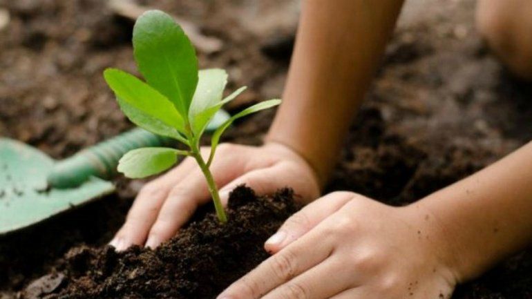 Día Mundial del Suelo 2020 aboga por la biodiversidad