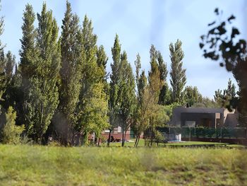 CALF denunció ante la Justicia penal el fraude VIP&nbsp;