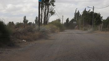 Semana con viento fuerte en Neuquén: cuál será el peor día