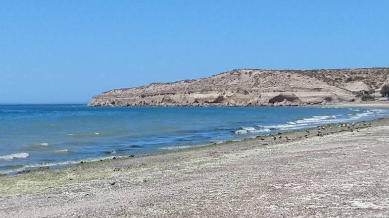 Chubut: Playa Larralde, en Península Valdés. Chubut: Playa Larralde, en Península Valdés.