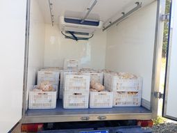Se venderán 280 pollos de 3 kilos. Se venderán 280 pollos de 3 kilos.